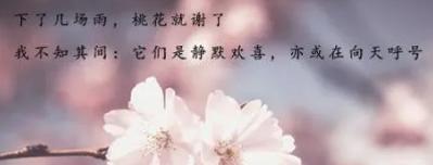 有关月亮的诗,关于月亮的诗