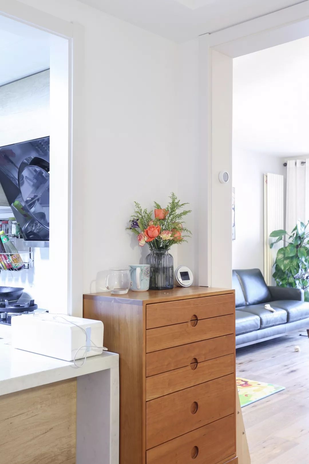 有两个宝宝的家庭应该怎么办,有娃的家里就一定会乱吗