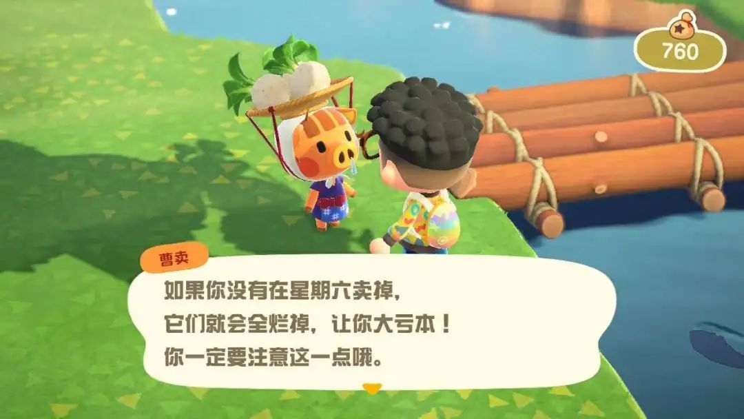 动森炒股攻略,动森如何炒股