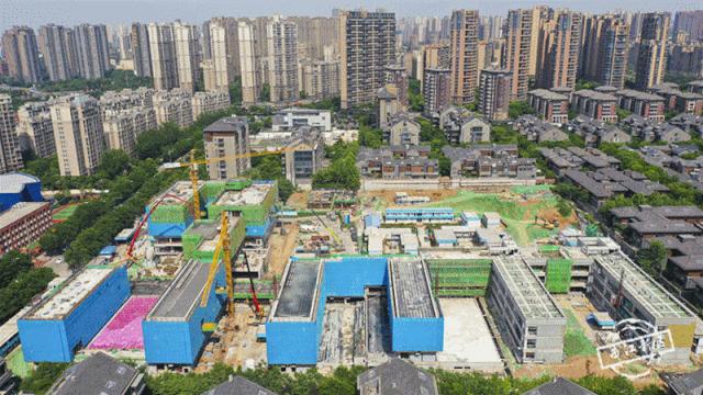 有颜更有料,有颜更有料车展实录