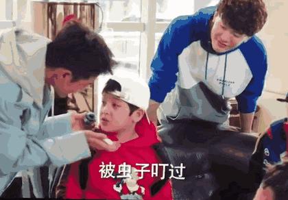 1罐搞定一整夏！20秒止痒消肿，让蚊虫再无嚣张机会