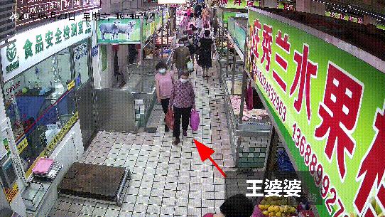 海底龟煲汤功效,海底龟煲汤