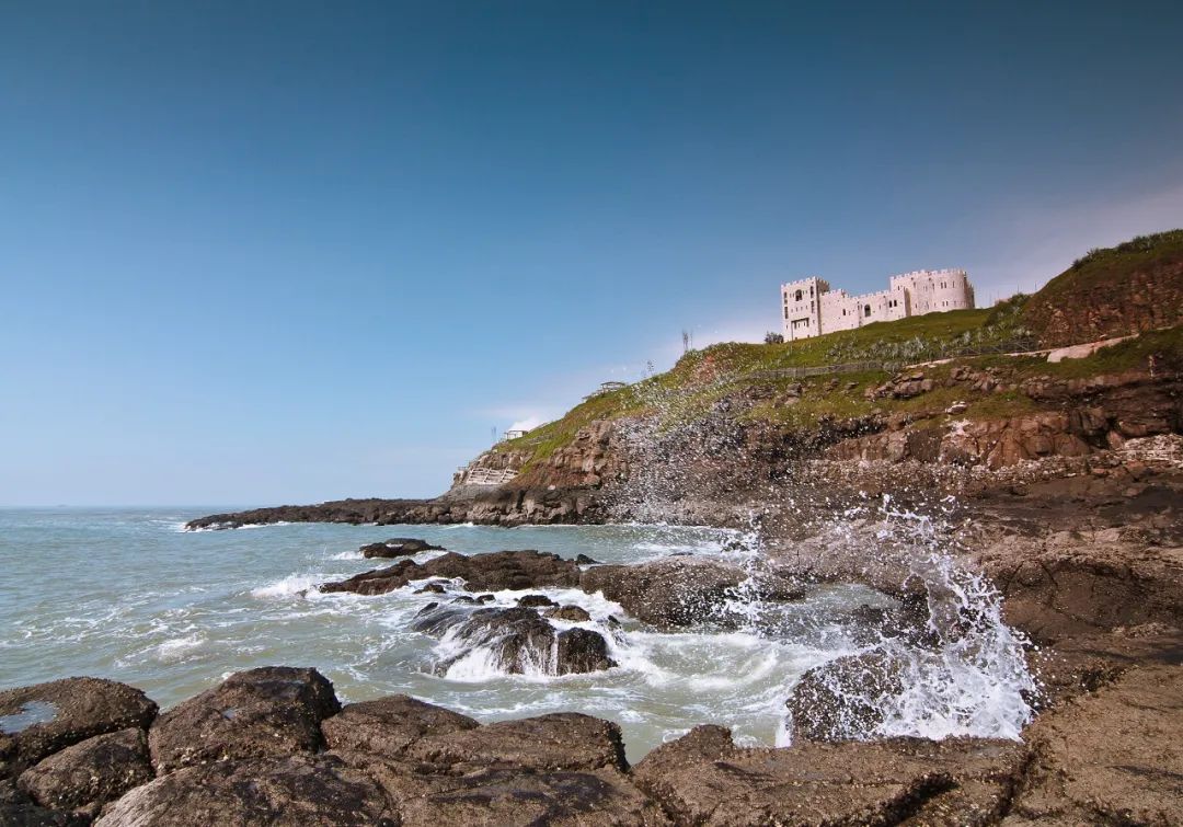 一半是火焰一半是海水啥意思,一半是火焰一半是海水全文