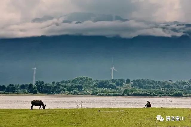 富川慢城,富川慢城花海攻略