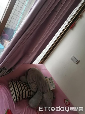 诡异“．．．”一路延伸窗帘天花板　猫奴望3皮蛋：怎么弄的