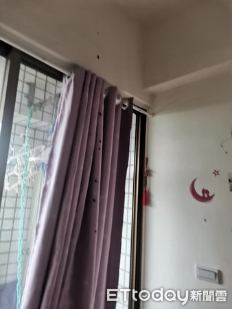 诡异“．．．”一路延伸窗帘天花板　猫奴望3皮蛋：怎么弄的