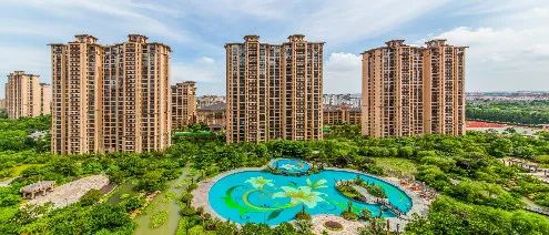 day9,day9的价目表