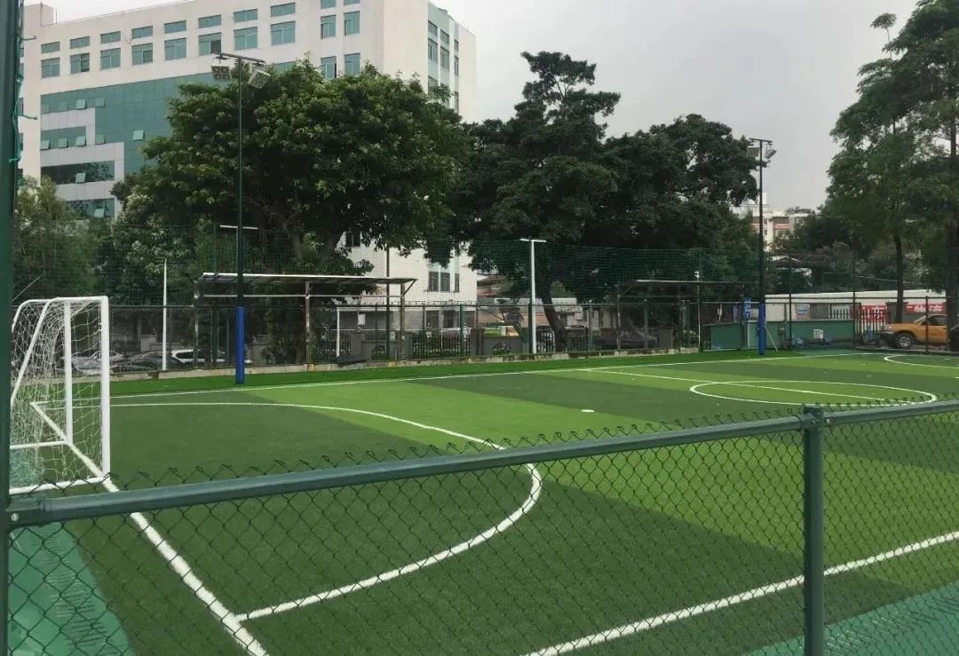 广州市直多部门到荔湾区核查足球场地建设工作