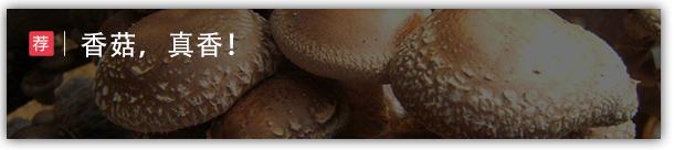 东北三大宝藏学校,被低估的宝藏学校