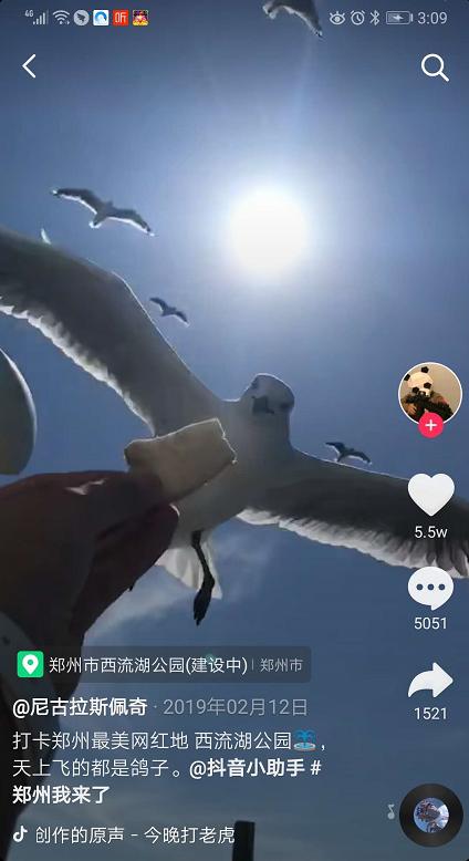 郑州网红打卡地玩的地方免费,郑州地下隧道网红打卡点