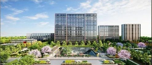 day9,day9的价目表