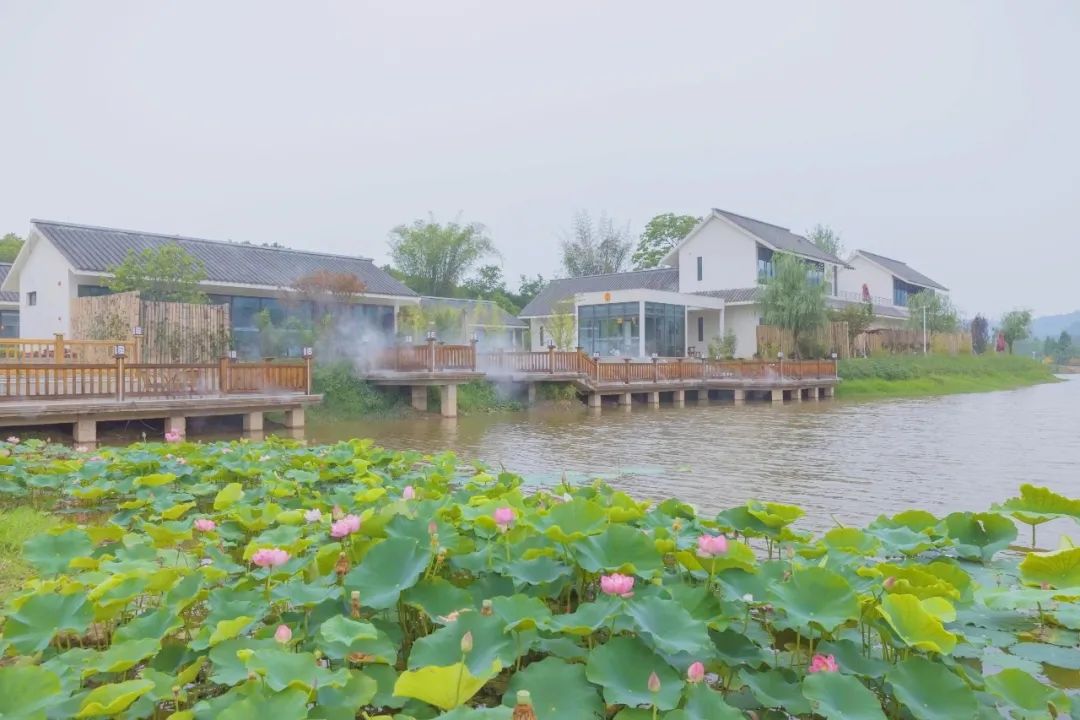 火了火了！成都又新添一个区，地铁10号线直达！夏日纳凉、吃河鲜…3日郊游路线，安排→