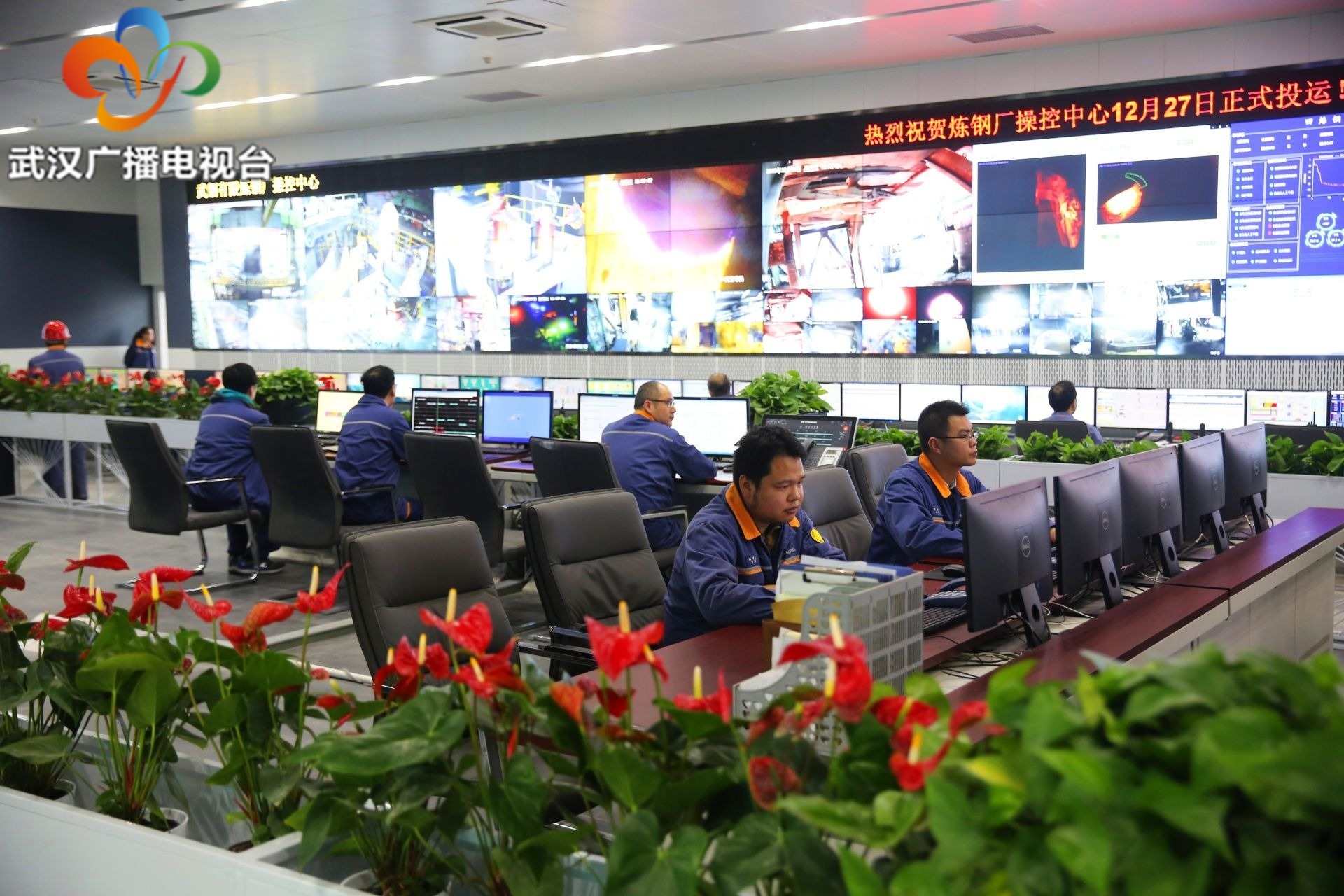 武钢绿色城市技术发展有限公司,武钢绿色城市建设有限公司