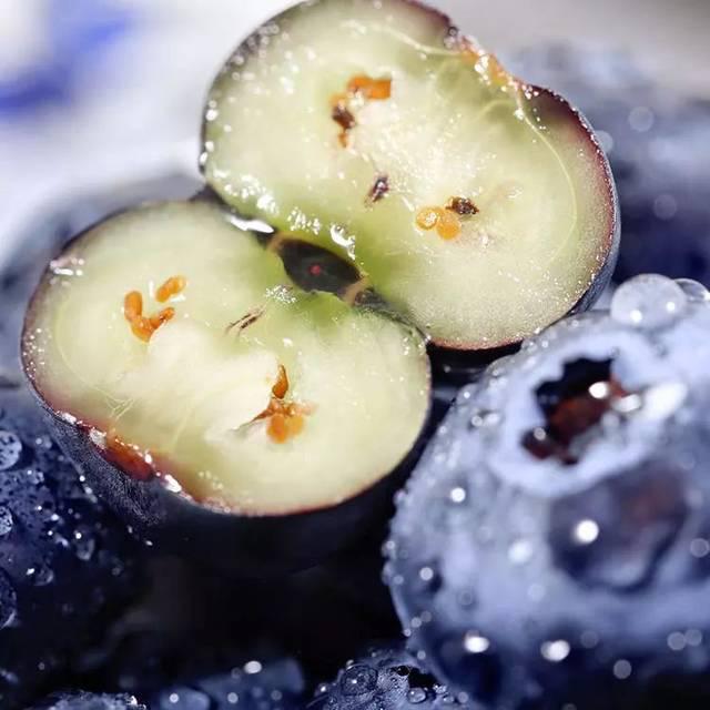 象山大徐镇的蓝莓,象山摘蓝莓