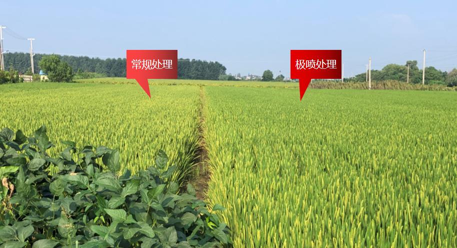 氮钾复合肥缓释肥,叶面喷雾缓释复合肥