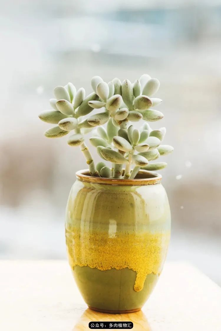 专注于自己喜欢的事情,专注于自己喜爱的事情