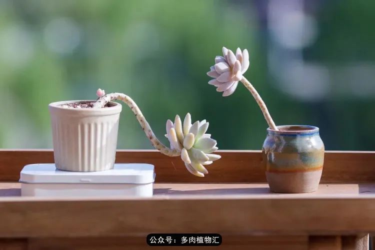 专注于自己喜欢的事情,专注于自己喜爱的事情