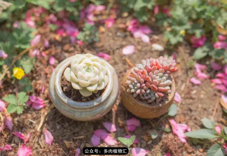 专注于自己喜欢的事情,专注于自己喜爱的事情