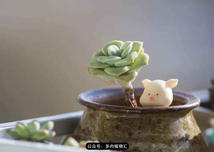 专注于自己喜欢的事情,专注于自己喜爱的事情