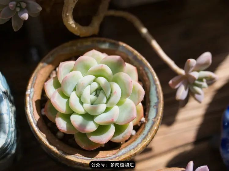 专注于自己喜欢的事情,专注于自己喜爱的事情