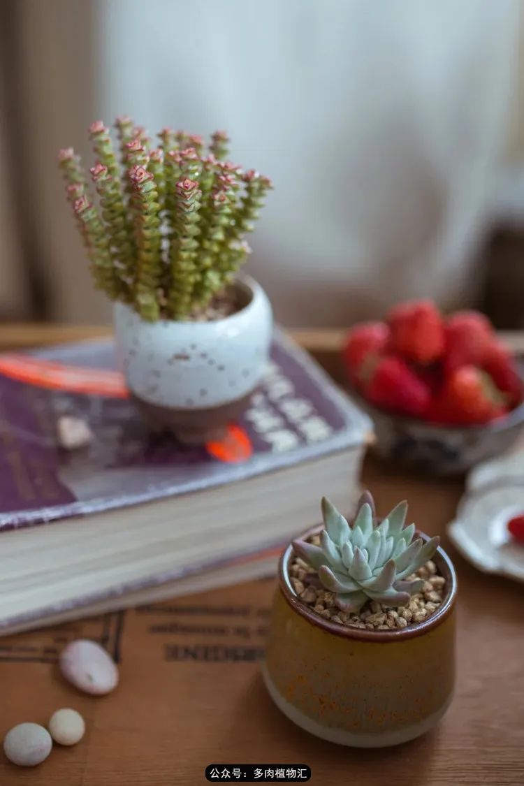 专注于自己喜欢的事情,专注于自己喜爱的事情