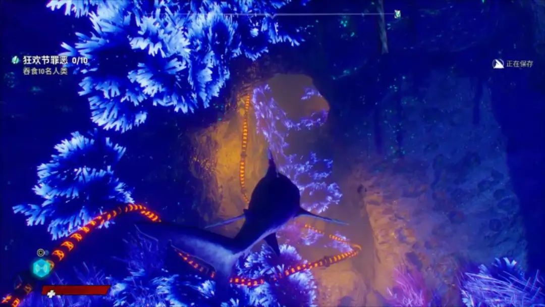 食人鲨图文评测,吃零食鲨鱼