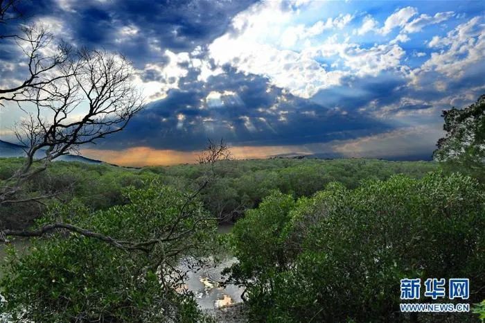世界海洋日感知海洋保护海洋,世界海洋日保卫海岸