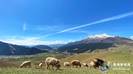 刺沟里的“尕龙王”