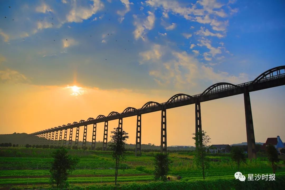 你好我叫长沙原版视频,你好我叫长沙县完整视频