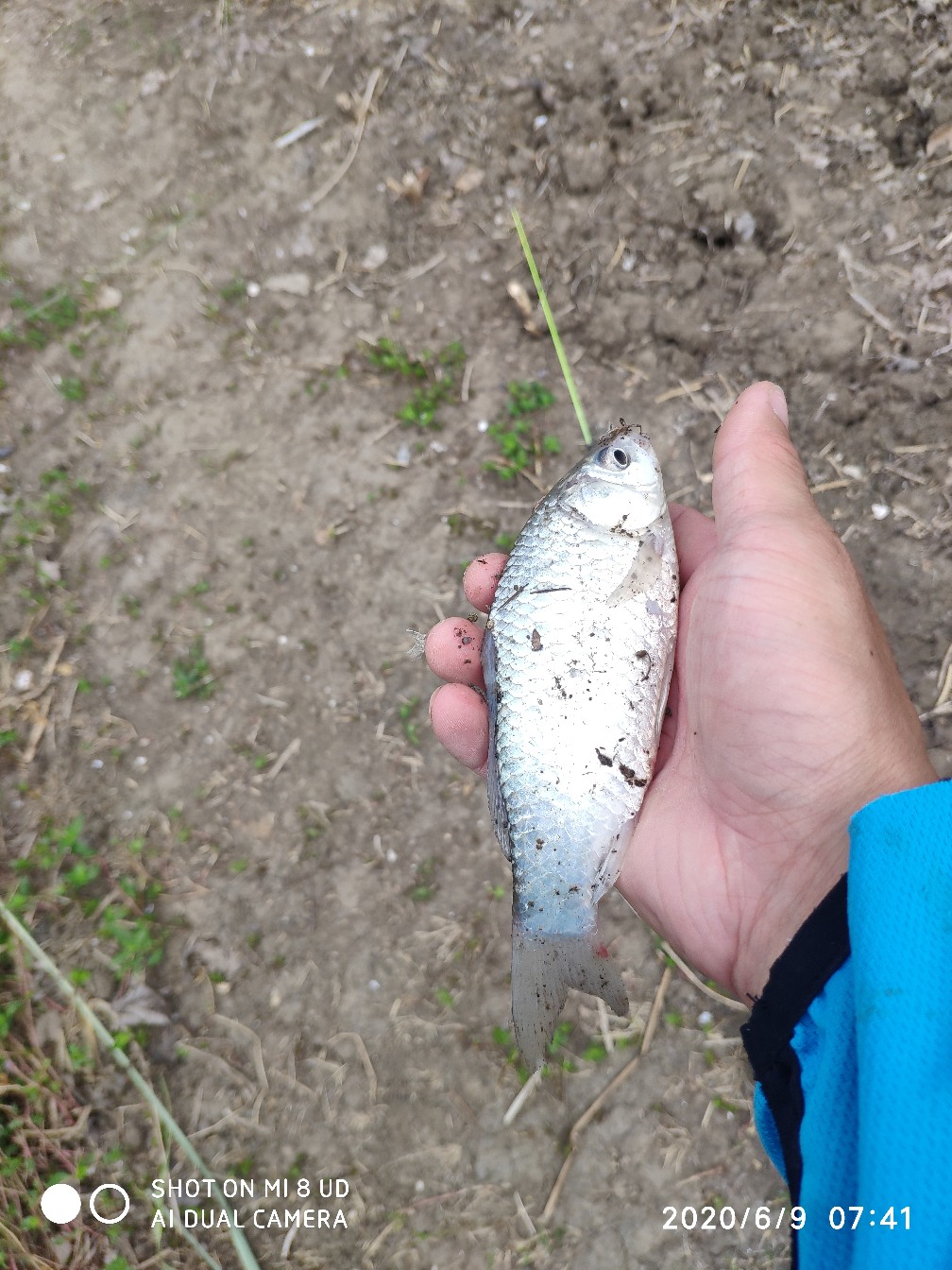 小矶竿导环怎么修复,小矶竿手把节修复