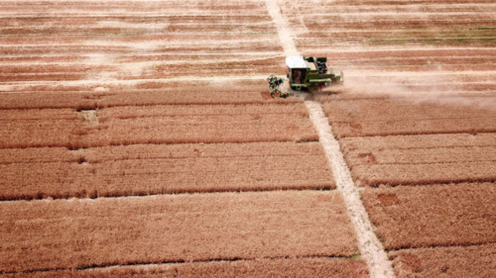 齐心鲁力｜李存良不存粮