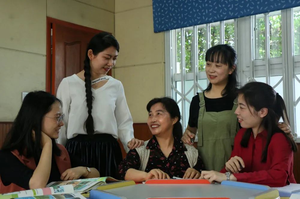 常青树教育培训,常青树怎么养护和管理