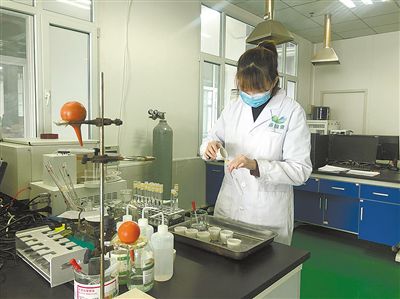 青稞发展项目,青稞的产业链