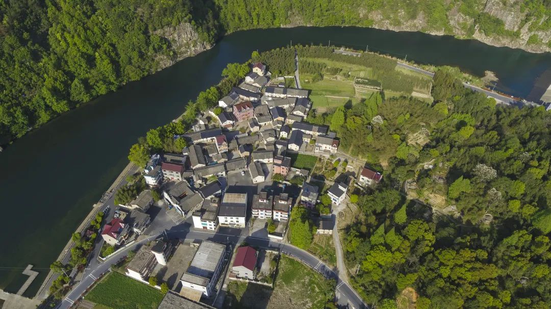 周末去哪儿⑫|王牌推荐，出行不愁！富阳山乡鲜得太“上头”啦！