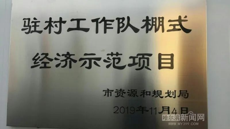 桦树村的菜熟了|村里建起配送车队,乡亲们有了产业