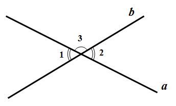 一个数学家的读后感,一个数学家的叹息
