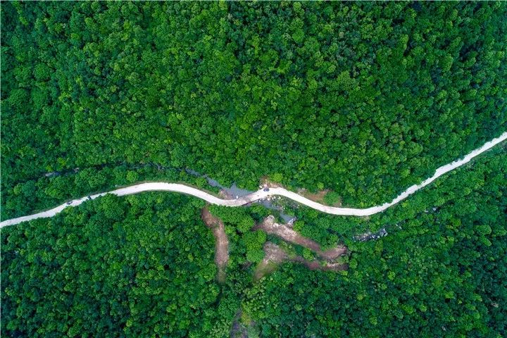 湖北最美环湖绿道徒步,十大最美绿道骑行
