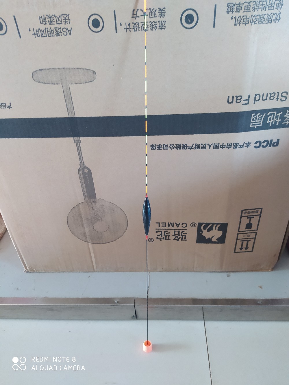 灏忛洦婊戞粦鏉跨殑瑙嗛,灏忛洦娲楅瀷鐞冮瀷淇