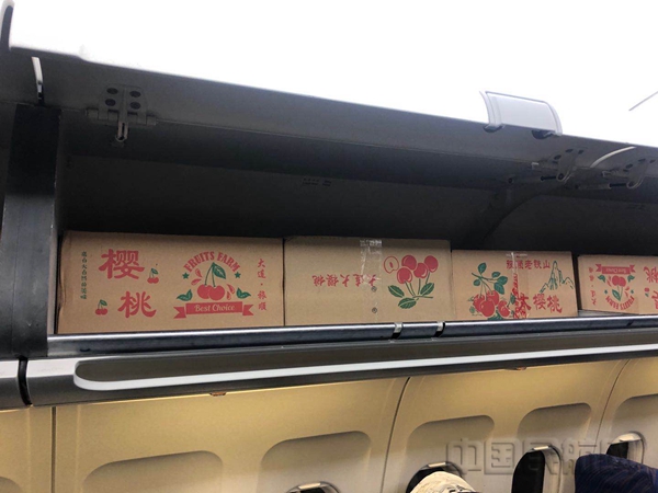 大连至武汉首班客改货樱桃专线首航