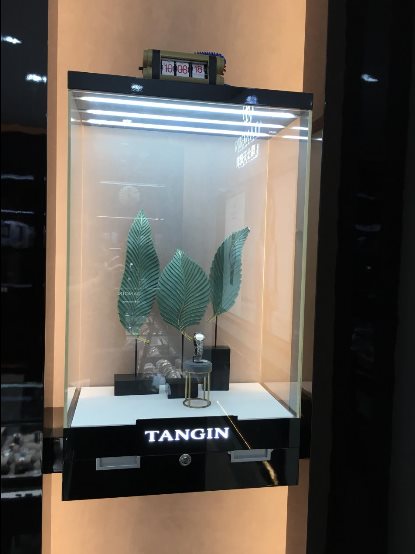 瑞士天珺皮表带,瑞士天珺表logo图片