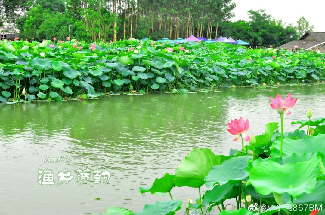 火了火了！成都又新添一个区，地铁10号线直达！夏日纳凉、吃河鲜…3日郊游路线，安排→