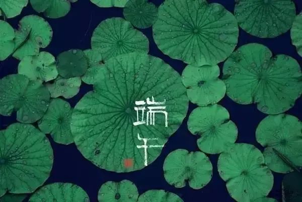 端午安康漂亮动态图片,端午安康大图