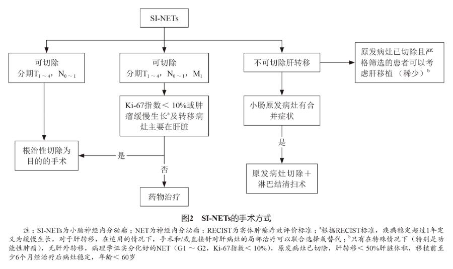 胃神经内分泌肿瘤的治疗,胰神经内分泌肿瘤的最佳治疗方法