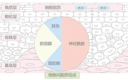 比起「拍一拍」，成年人明明更想要「啵啵」啊