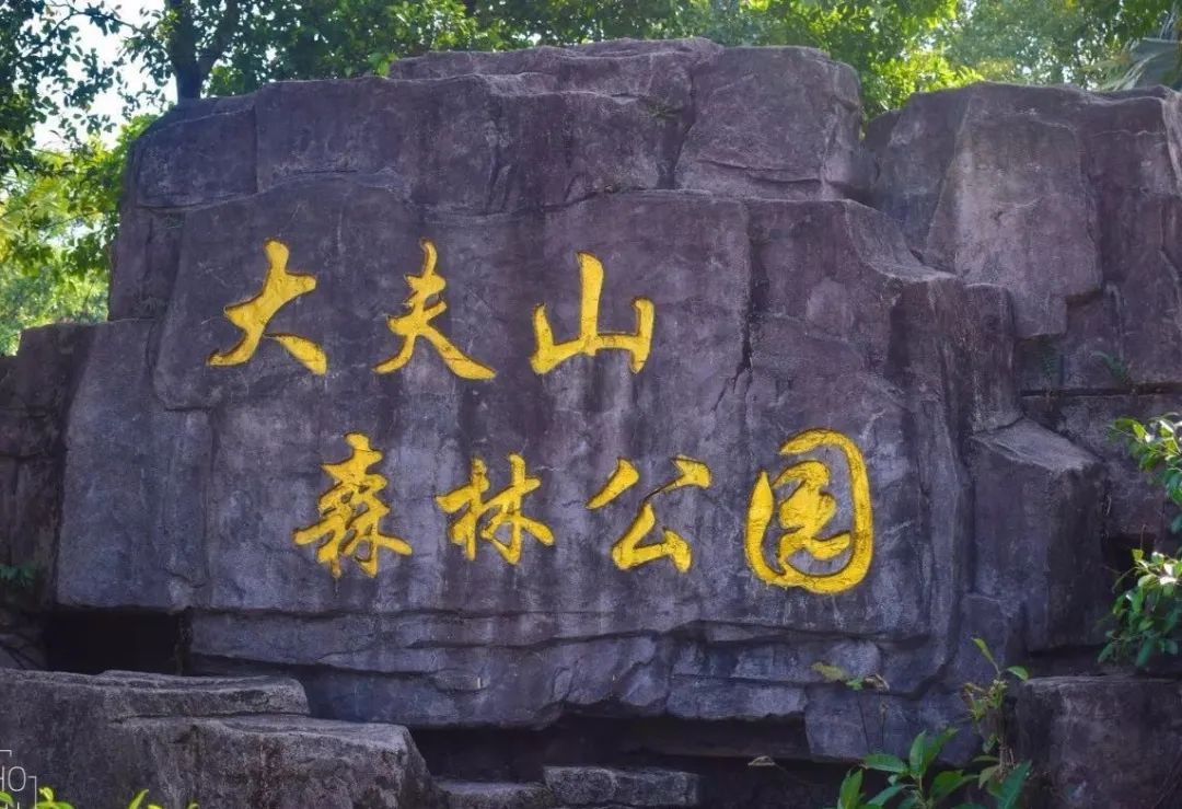 广州适合爬山的地方推荐,广州徒步爬山推荐