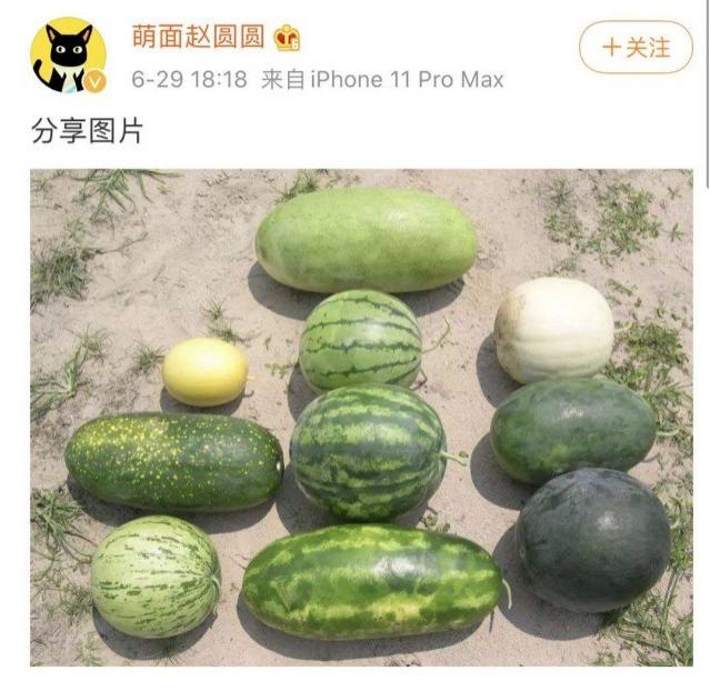 辞退，永不录用！薇娅们背后的男人栽了？安排女友高薪入职，传淘宝直播幕后推手被开除