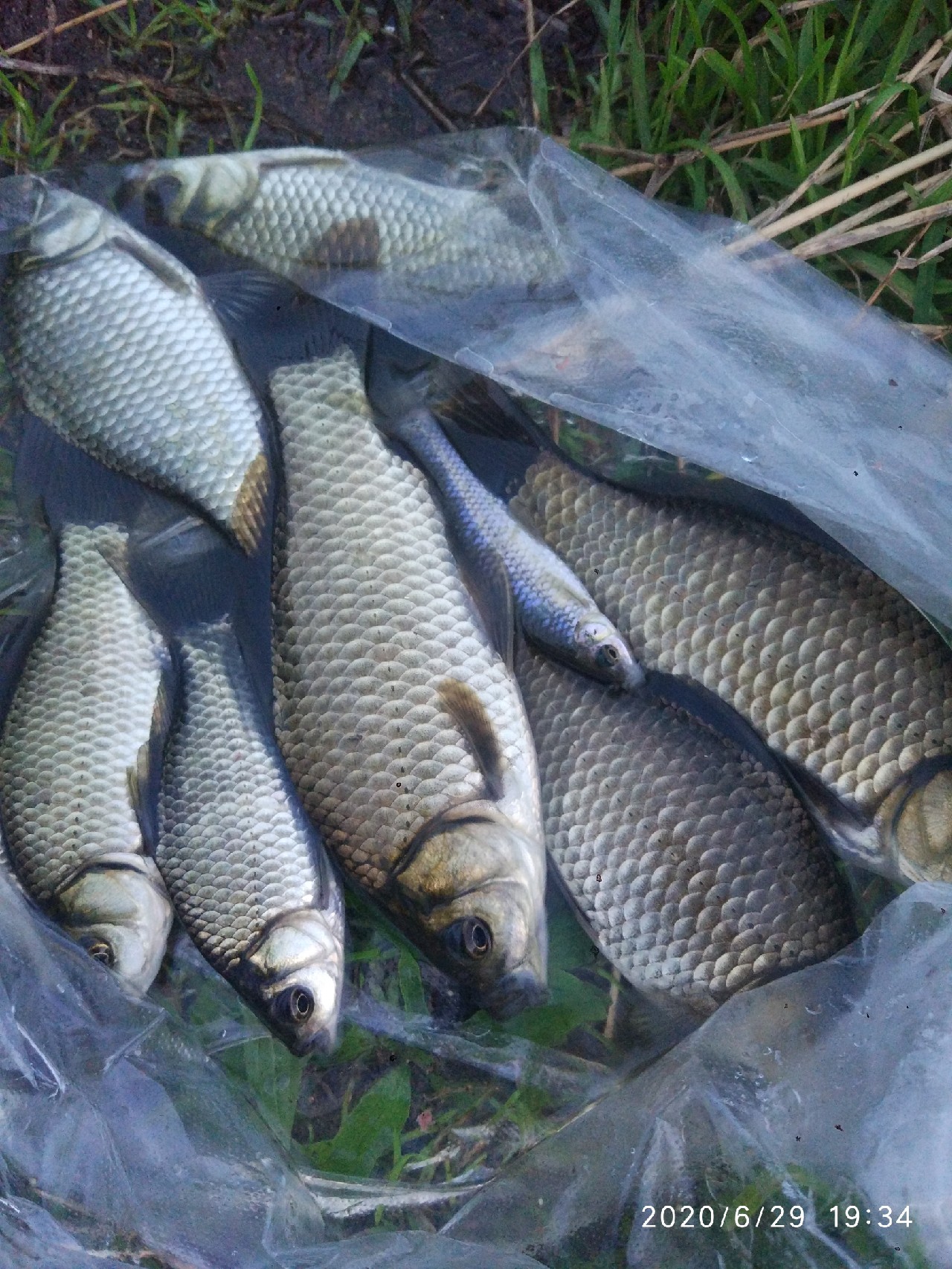 春季雨后初晴钓鱼钓深还是钓浅,雨后钓鱼情况