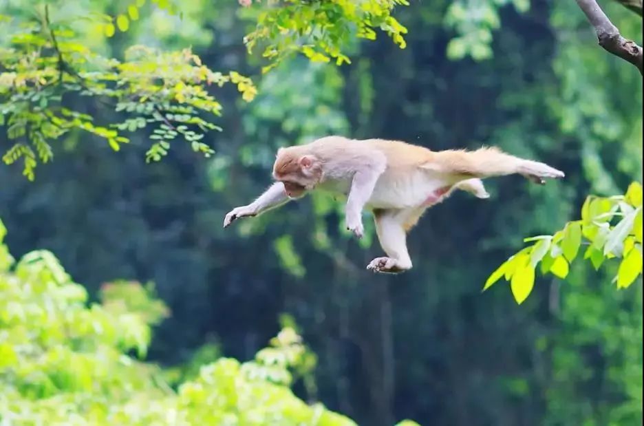 南宁附近最适合游泳避暑的地方,南宁夏天有哪些避暑的地方