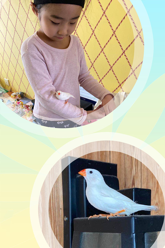 晒客子丨香氛里的友情密码