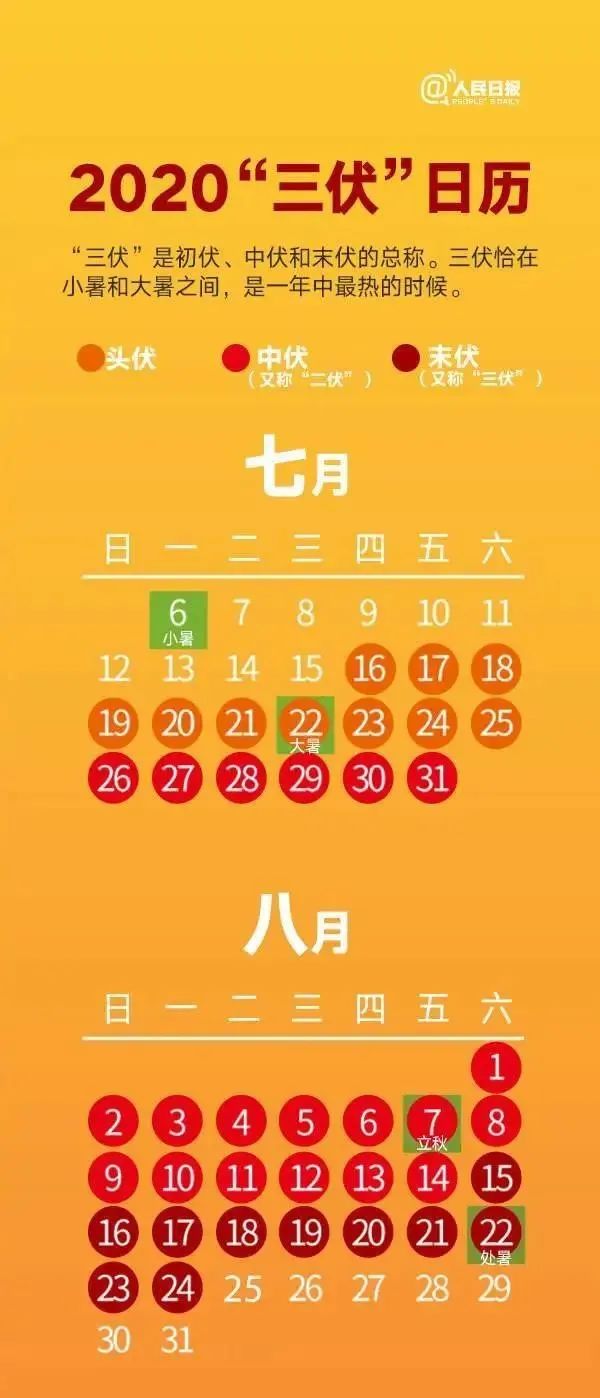 冬病夏治别错过三伏贴趁热贴起来,三伏贴入伏首日冬病夏治进行中